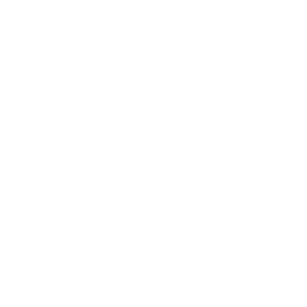 DANGEROUS TO OTHERS logo